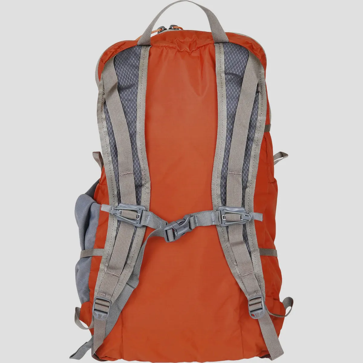 Mystery Ranch In and Out 19 Backpack
