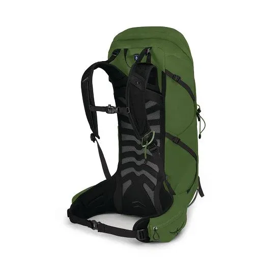 Osprey Talon 36